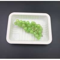 disposable corn starch biodegradable airline food fruit and vegetable meat tray